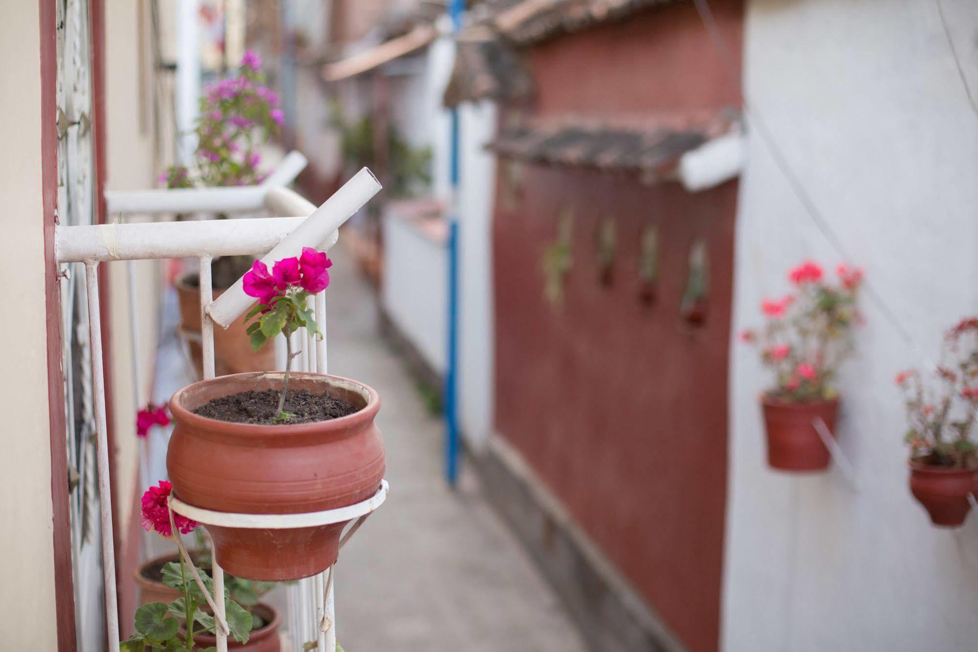 Los Aticos B&B With Coworking Cusco Exterior photo